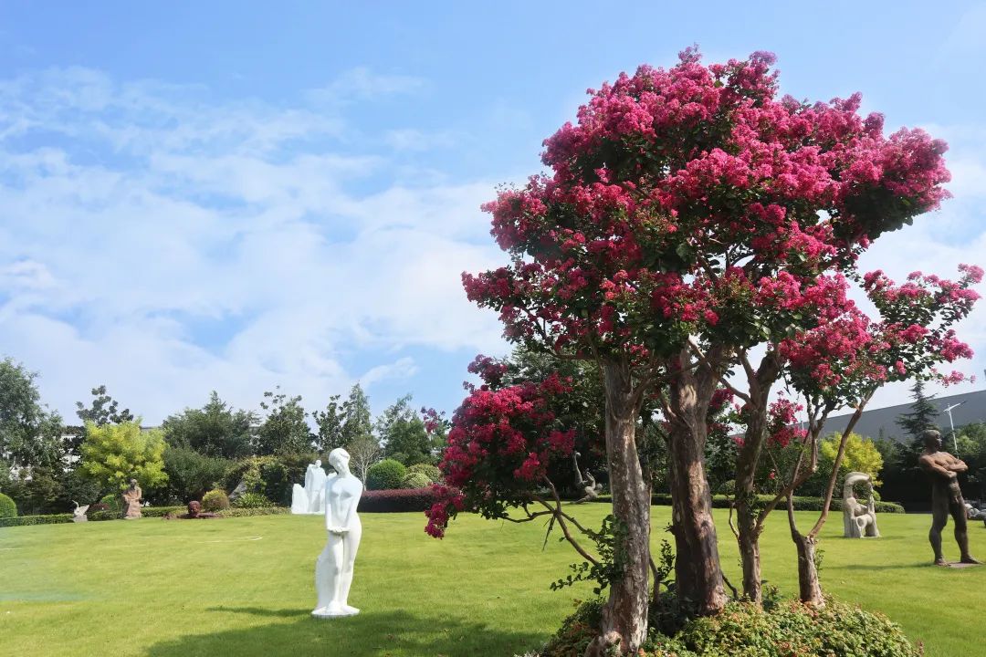 122cc太阳集成游戏(中国)有限公司官网