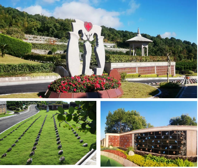 122cc太阳集成游戏(中国)有限公司官网