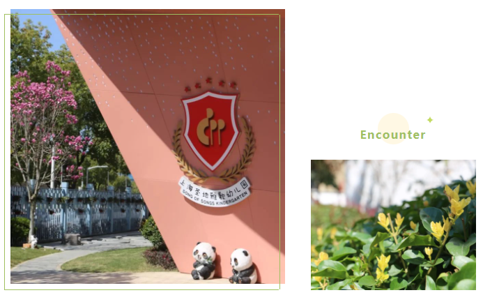 122cc太阳集成游戏(中国)有限公司官网