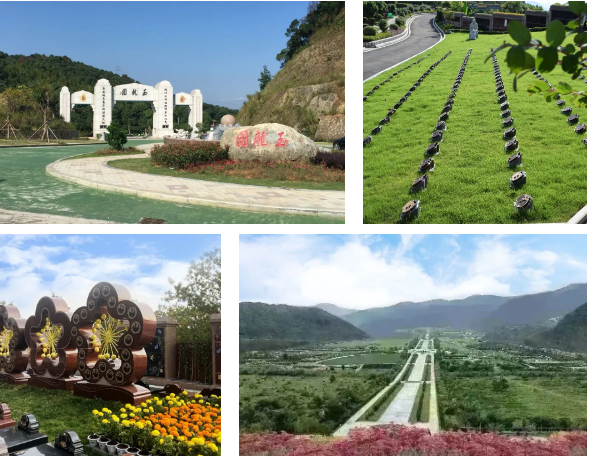 122cc太阳集成游戏(中国)有限公司官网