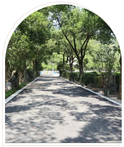 122cc太阳集成游戏(中国)有限公司官网