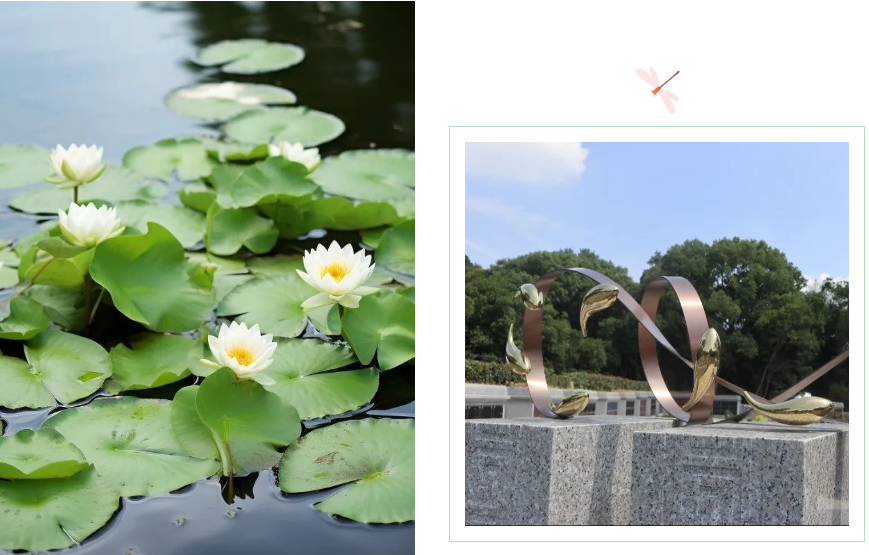 122cc太阳集成游戏(中国)有限公司官网