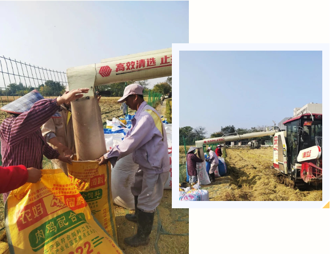 122cc太阳集成游戏(中国)有限公司官网