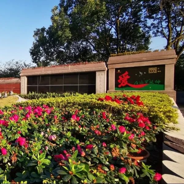 122cc太阳集成游戏(中国)有限公司官网