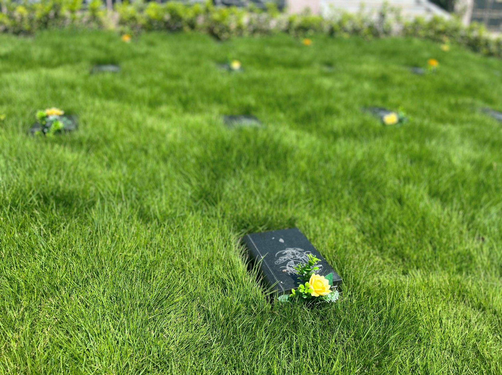 122cc太阳集成游戏(中国)有限公司官网