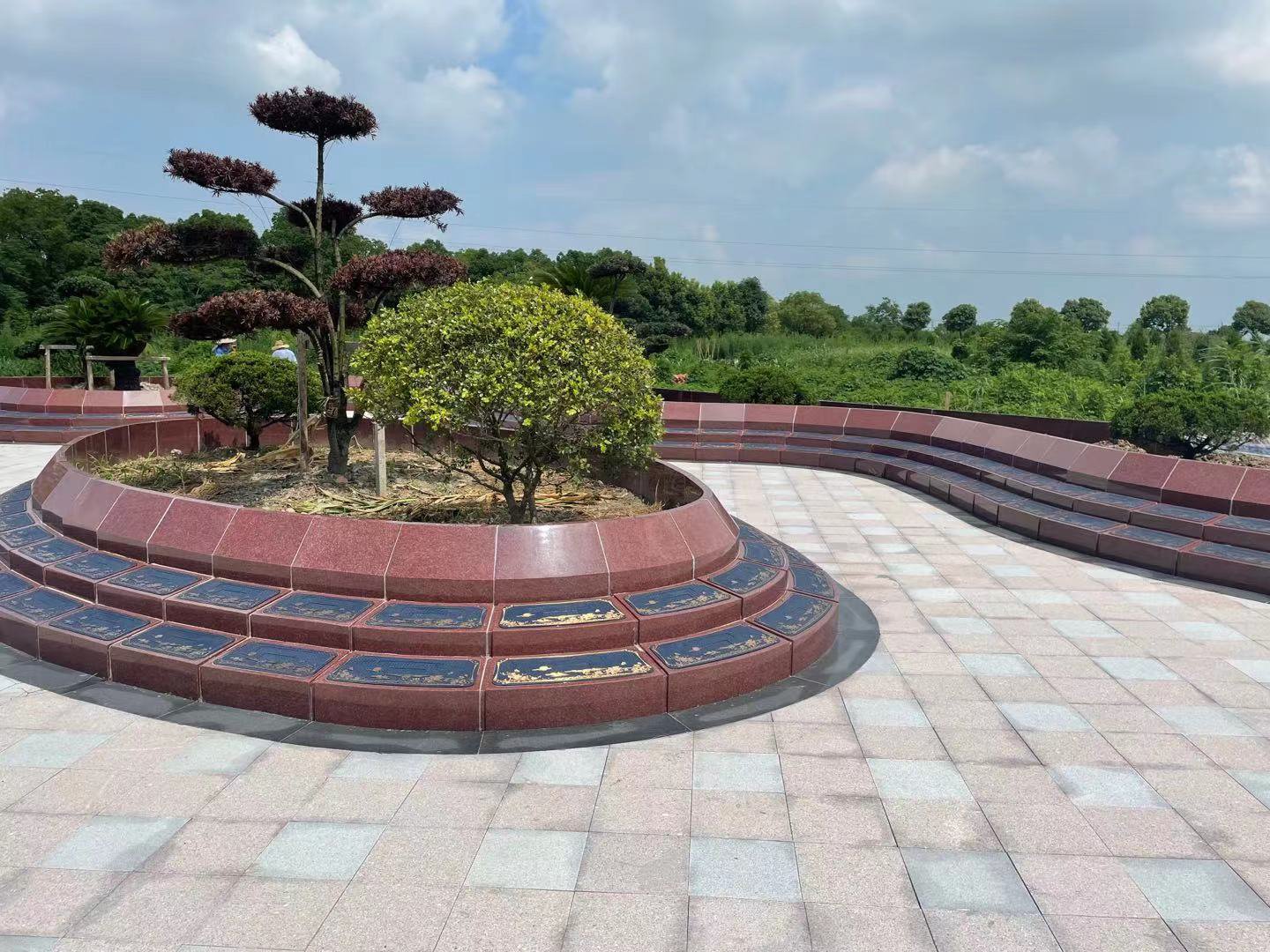 122cc太阳集成游戏(中国)有限公司官网