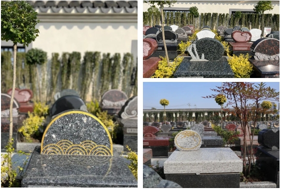 122cc太阳集成游戏(中国)有限公司官网