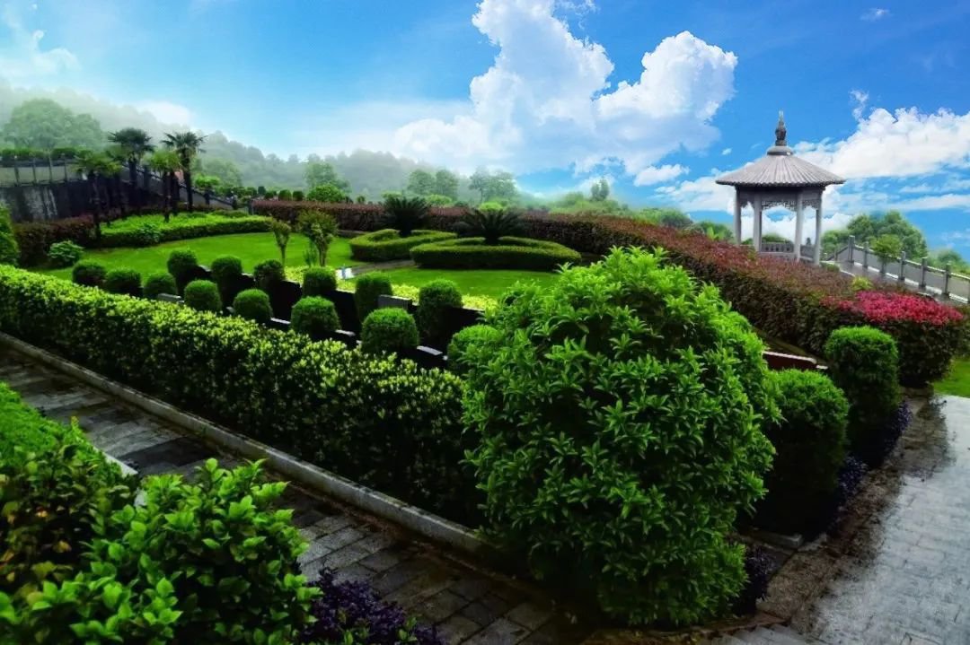 122cc太阳集成游戏(中国)有限公司官网