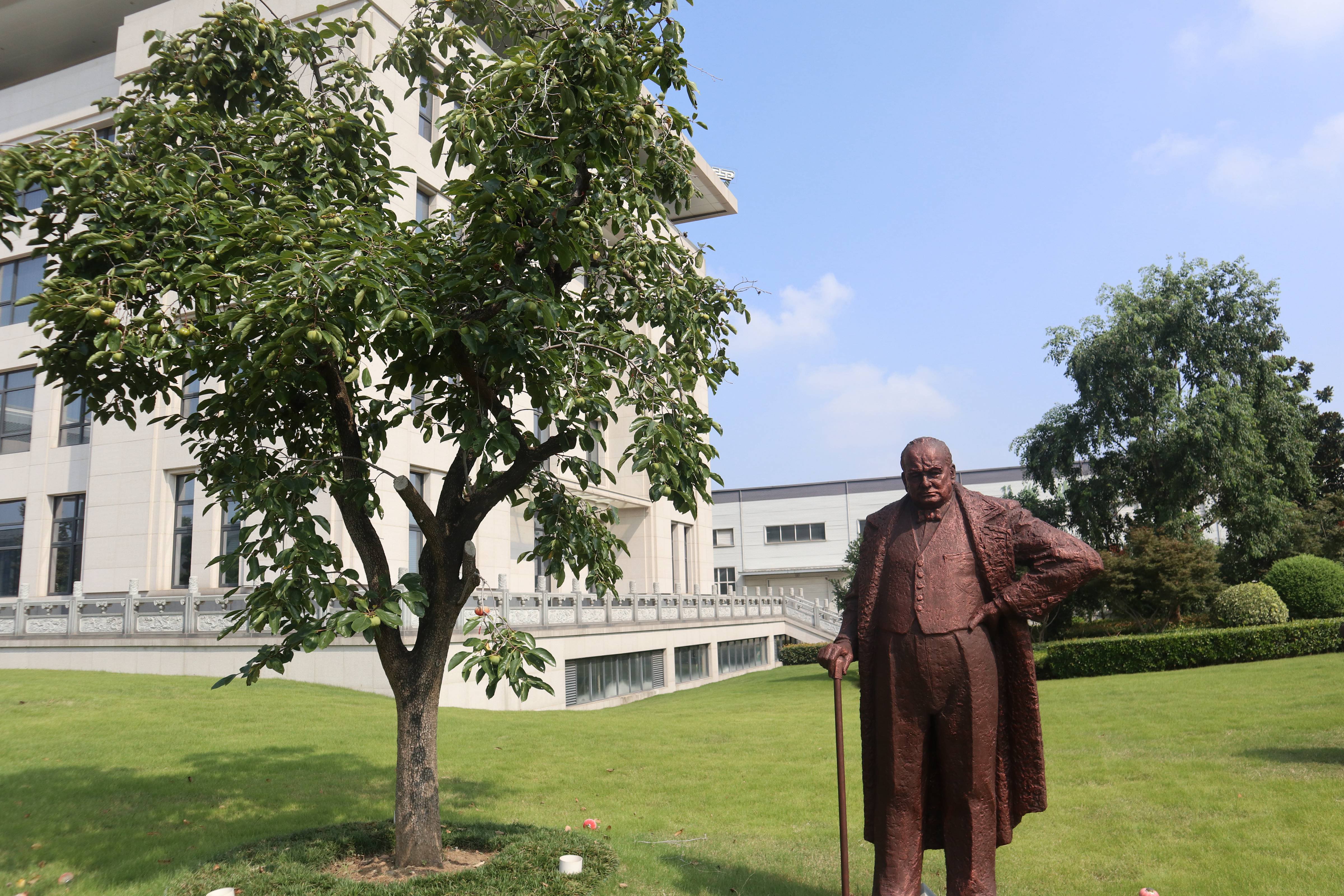 122cc太阳集成游戏(中国)有限公司官网