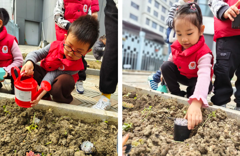 122cc太阳集成游戏(中国)有限公司官网