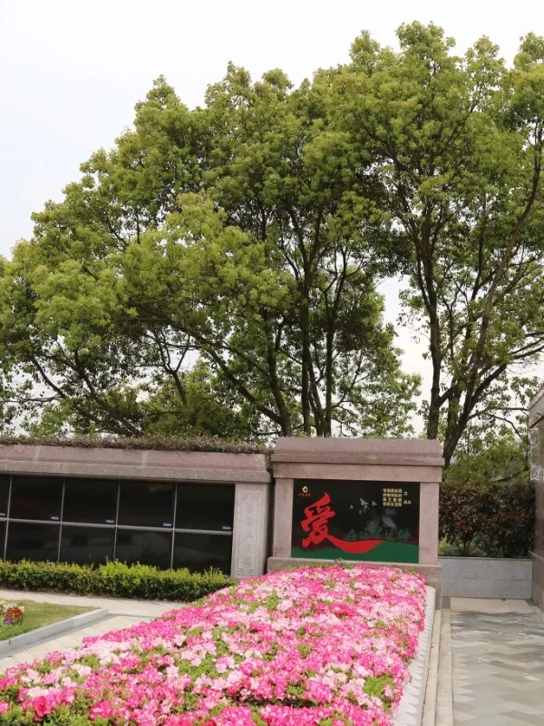 122cc太阳集成游戏(中国)有限公司官网