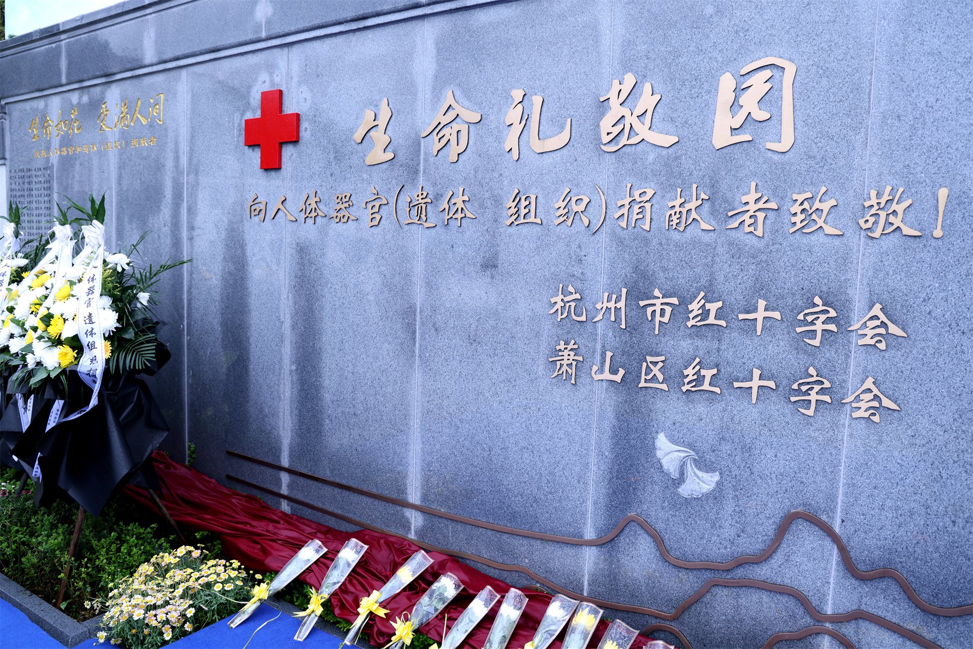 122cc太阳集成游戏(中国)有限公司官网