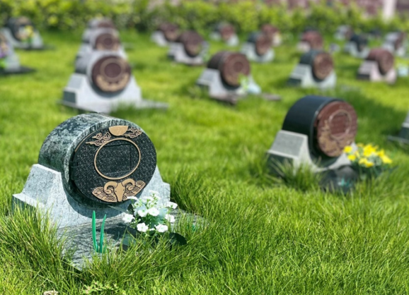 122cc太阳集成游戏(中国)有限公司官网