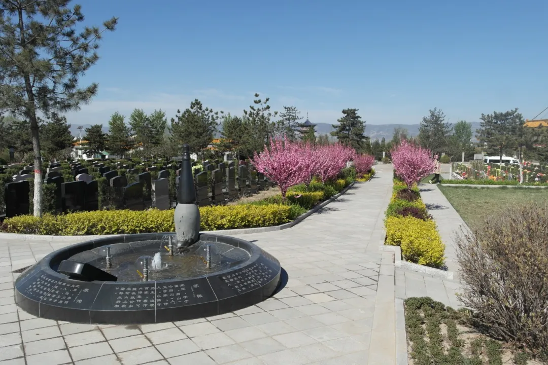 122cc太阳集成游戏(中国)有限公司官网