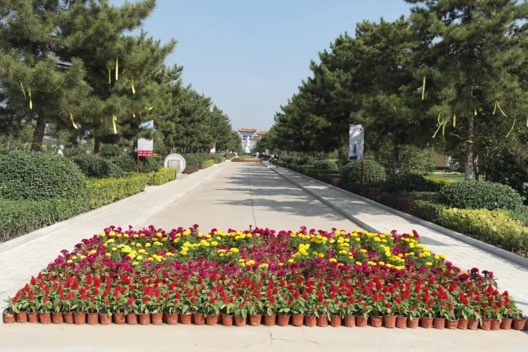 122cc太阳集成游戏(中国)有限公司官网