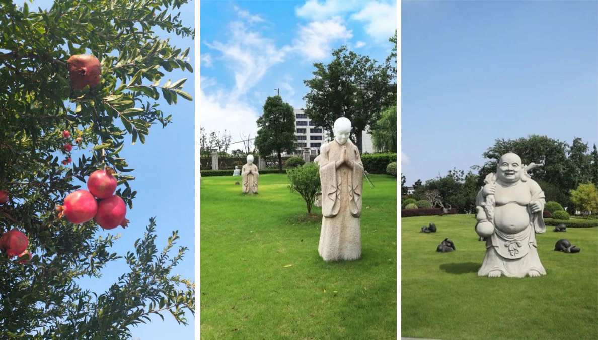 122cc太阳集成游戏(中国)有限公司官网