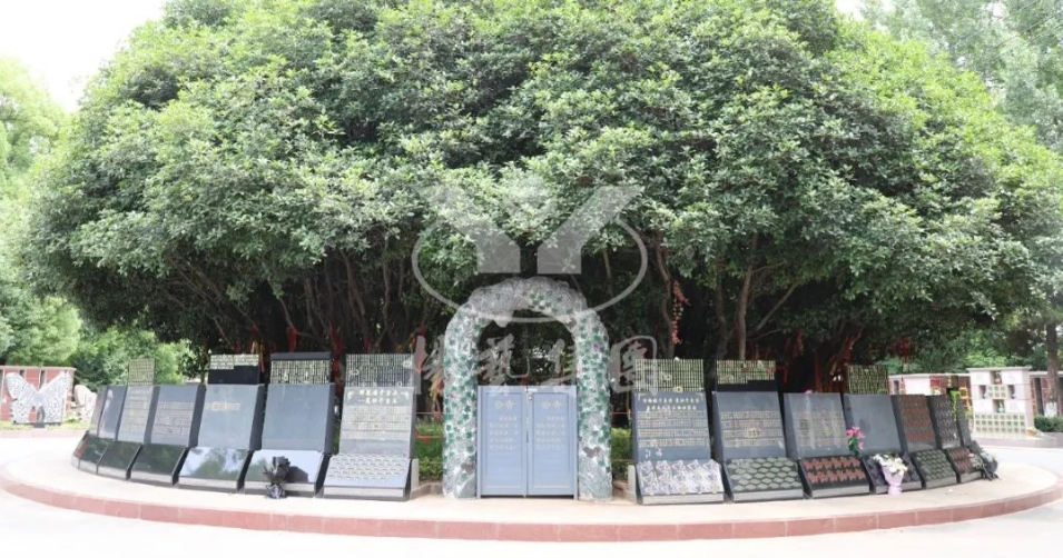 122cc太阳集成游戏(中国)有限公司官网