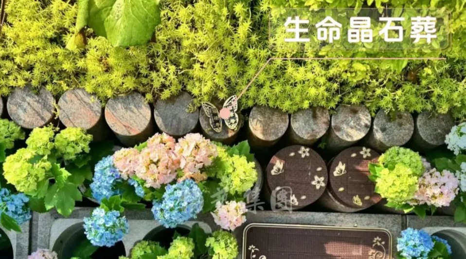 122cc太阳集成游戏(中国)有限公司官网