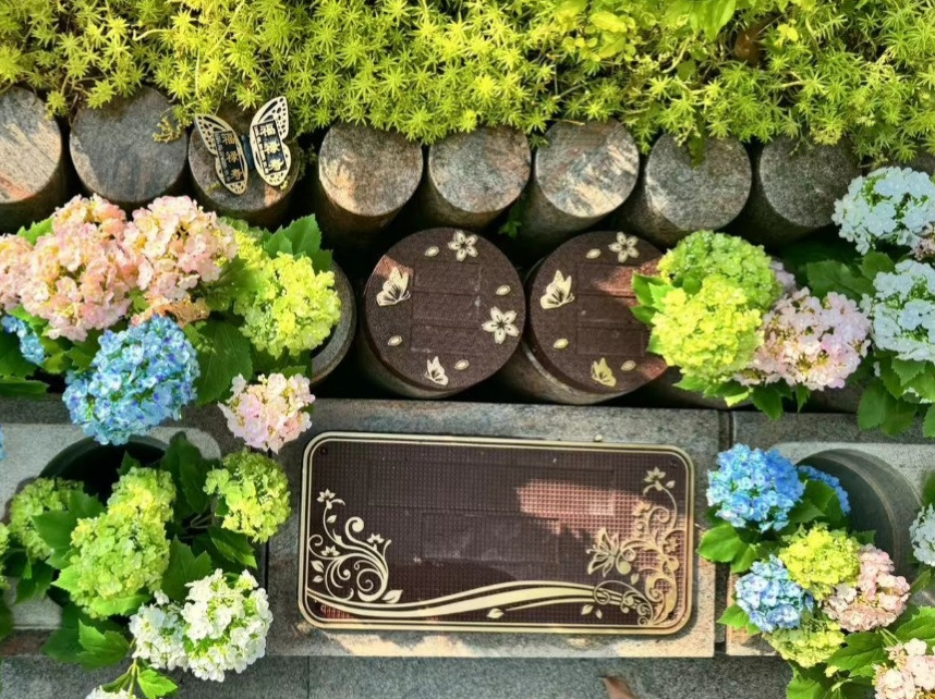 122cc太阳集成游戏(中国)有限公司官网