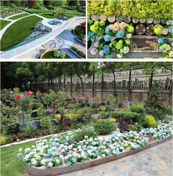 122cc太阳集成游戏(中国)有限公司官网