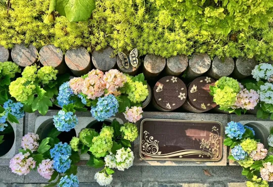 122cc太阳集成游戏(中国)有限公司官网