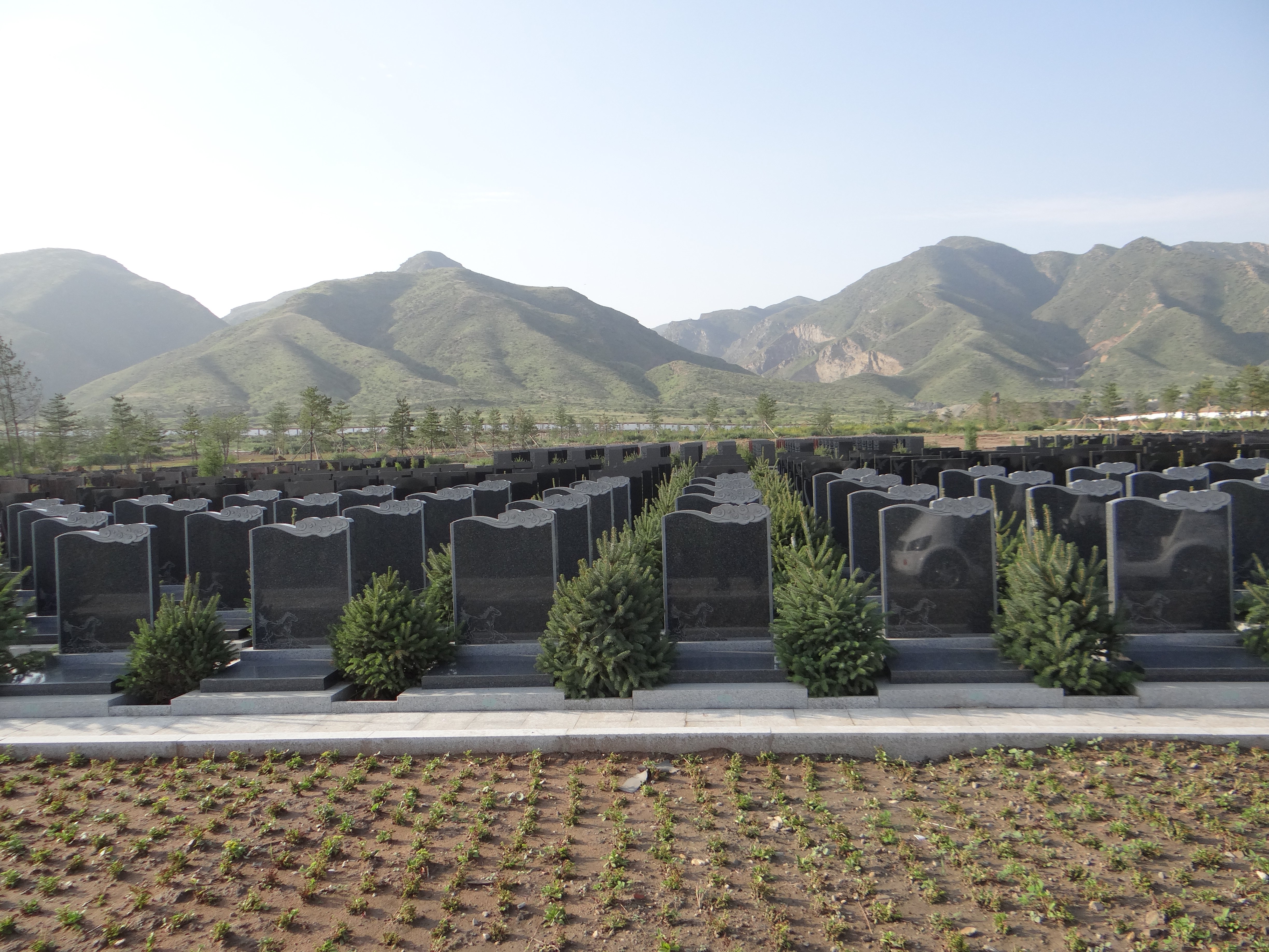 122cc太阳集成游戏(中国)有限公司官网