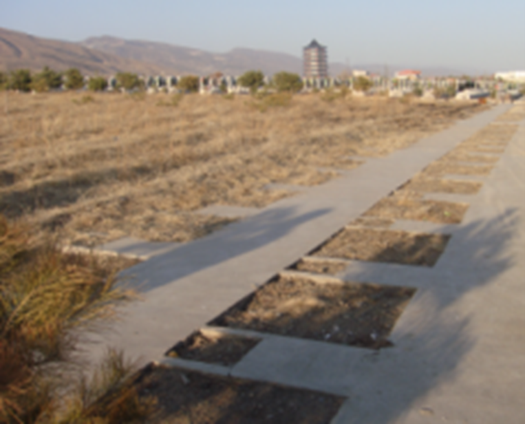 122cc太阳集成游戏(中国)有限公司官网