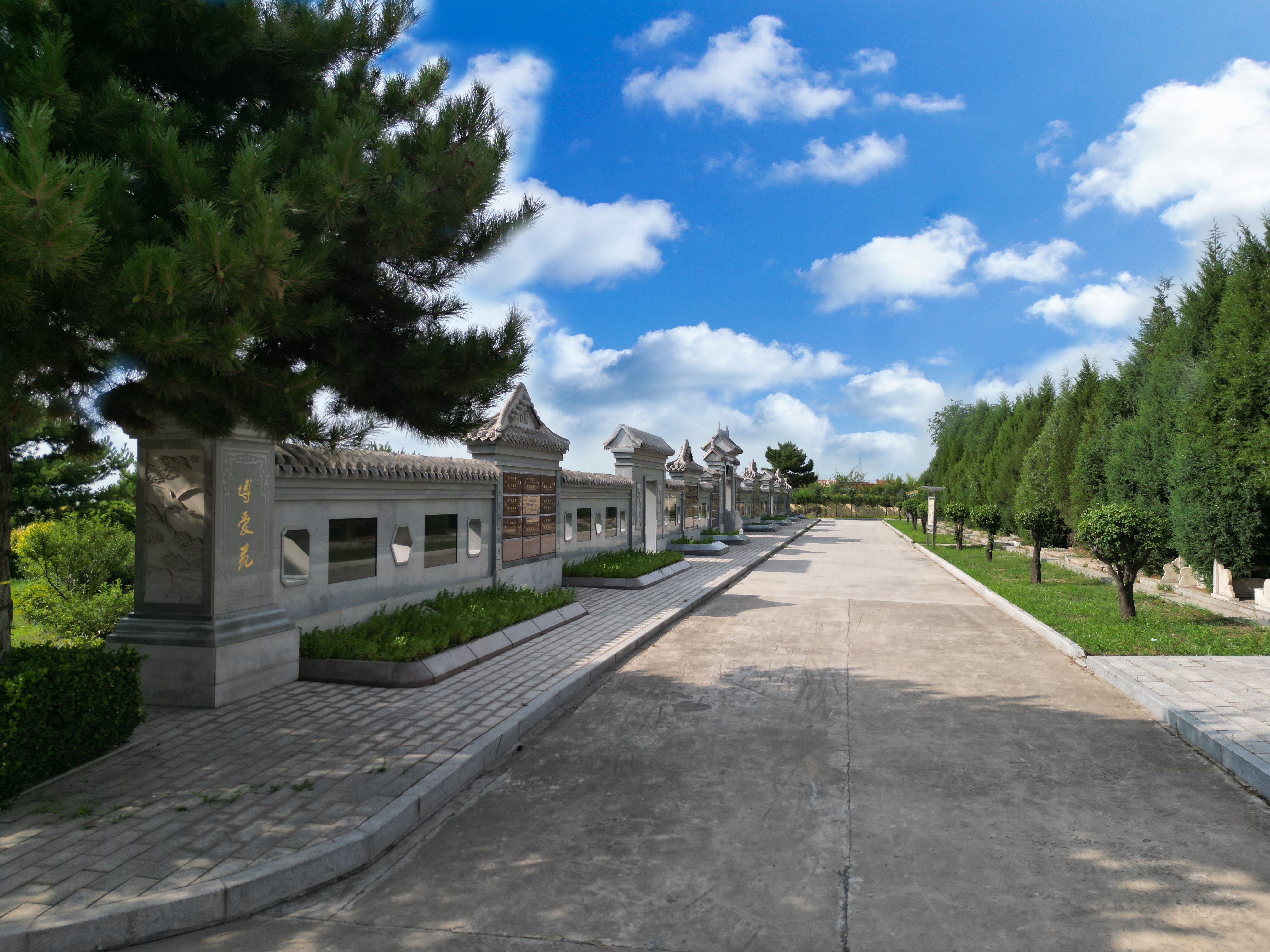 122cc太阳集成游戏(中国)有限公司官网