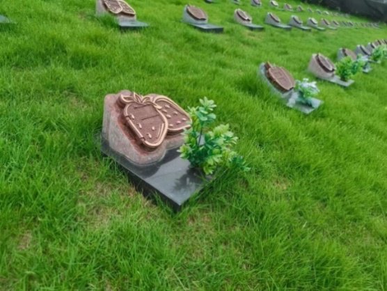 122cc太阳集成游戏(中国)有限公司官网