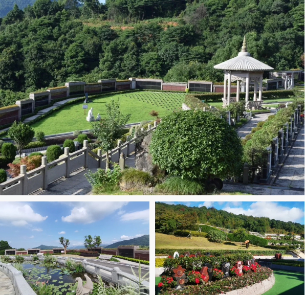 122cc太阳集成游戏(中国)有限公司官网