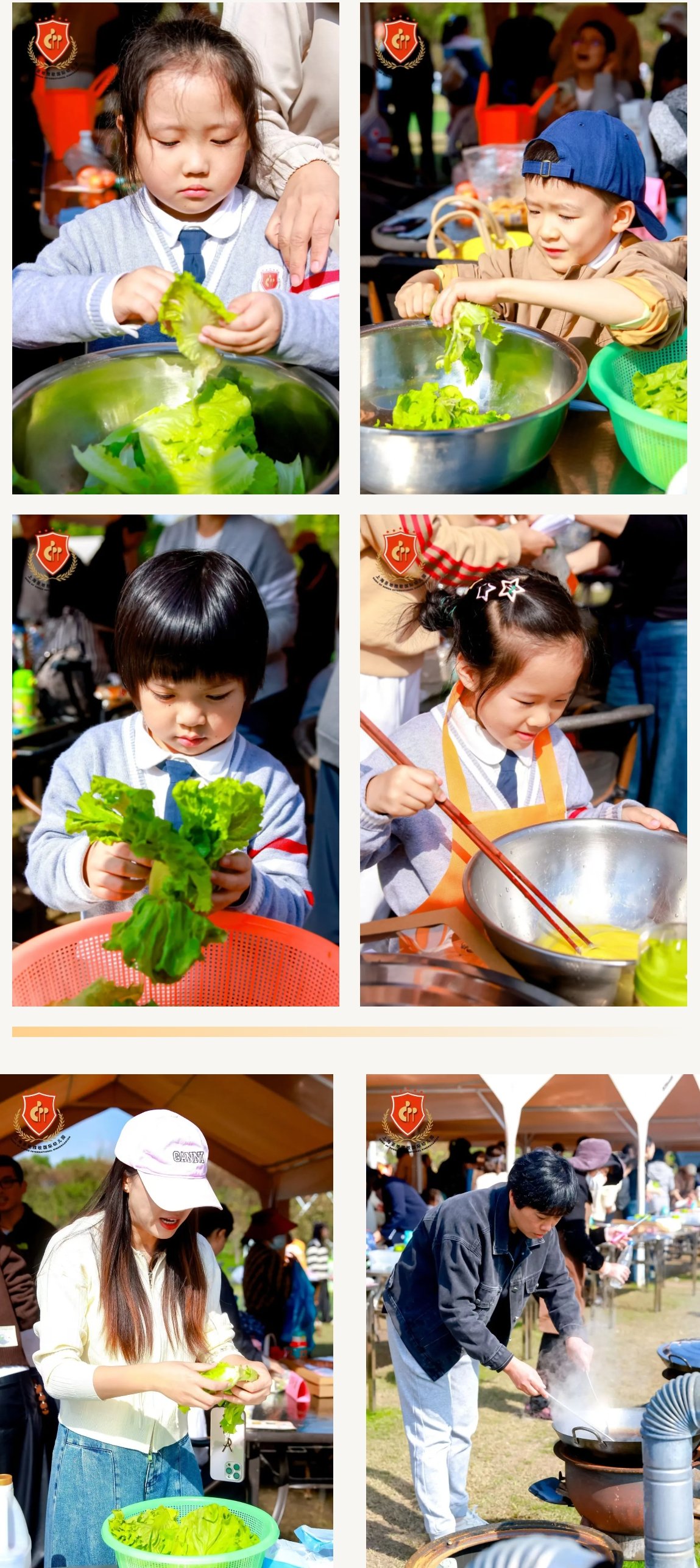 122cc太阳集成游戏(中国)有限公司官网