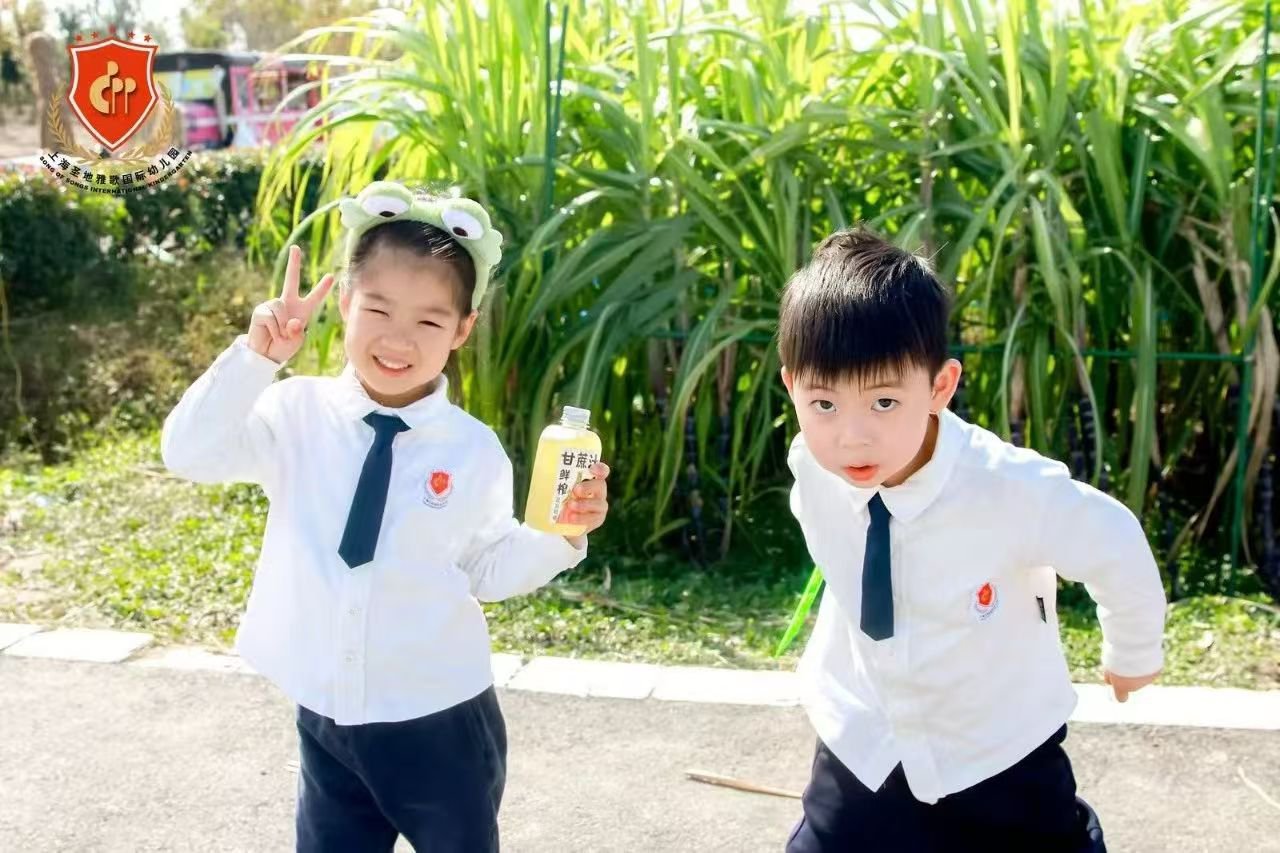 122cc太阳集成游戏(中国)有限公司官网