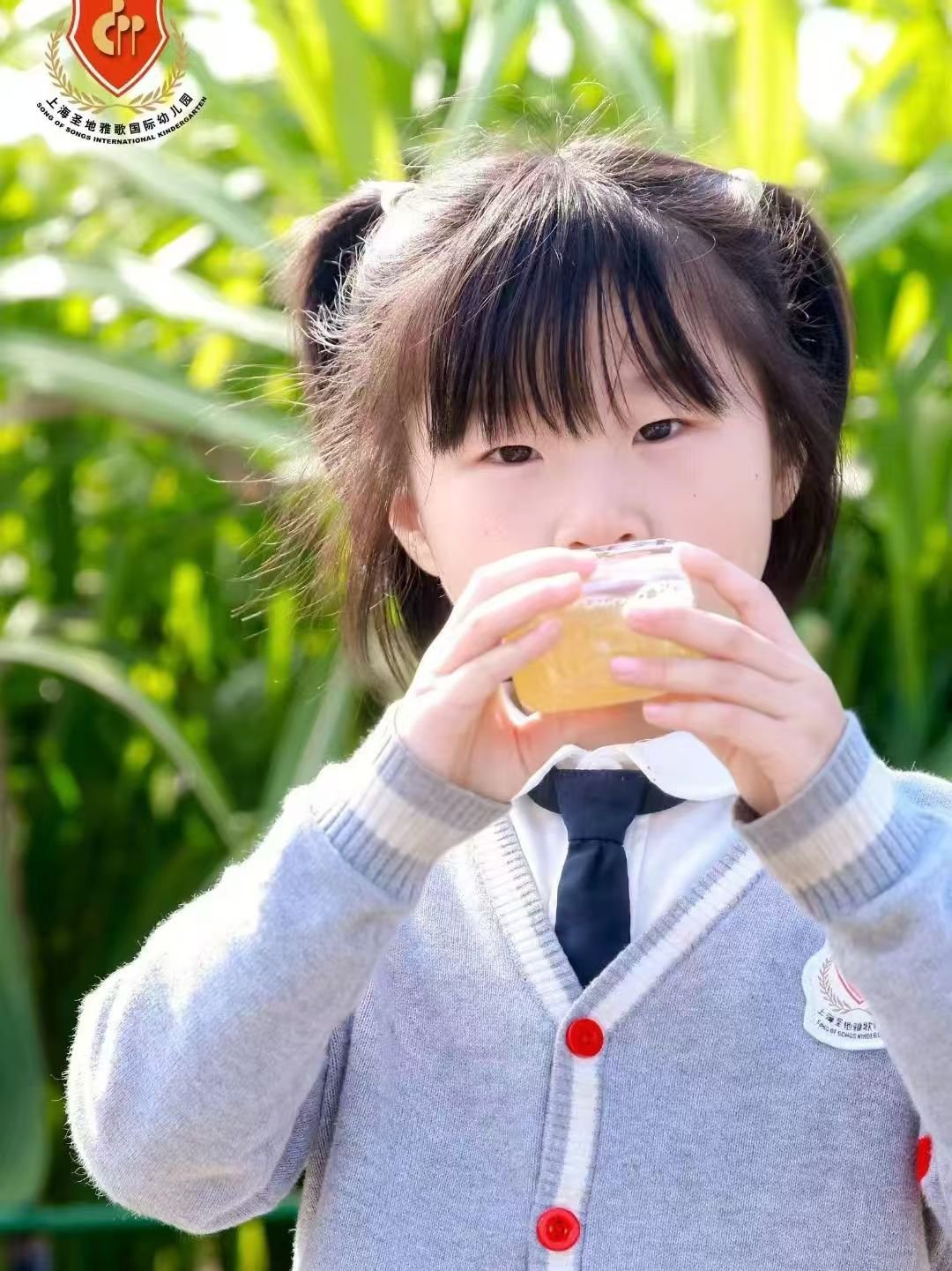 122cc太阳集成游戏(中国)有限公司官网