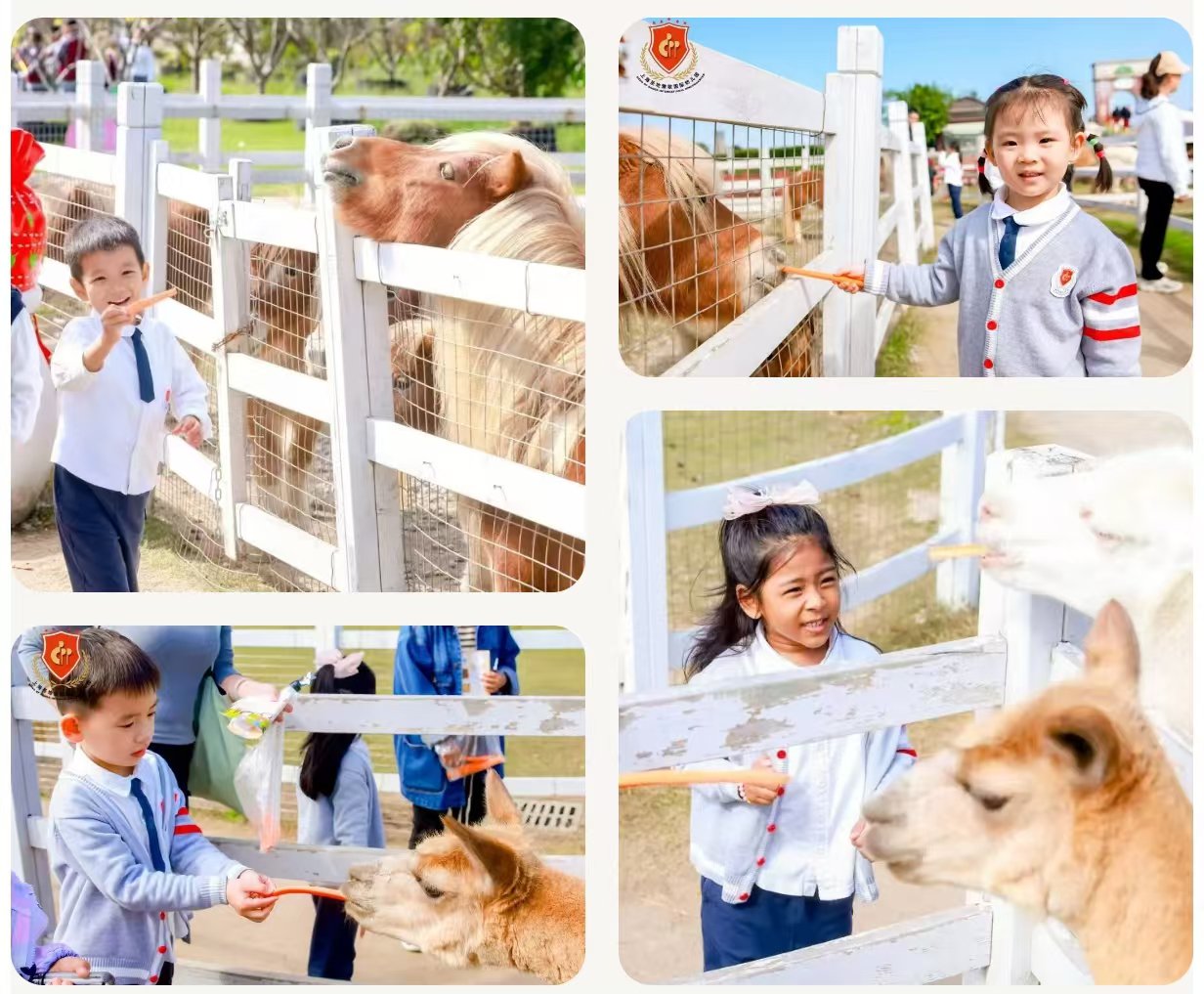 122cc太阳集成游戏(中国)有限公司官网