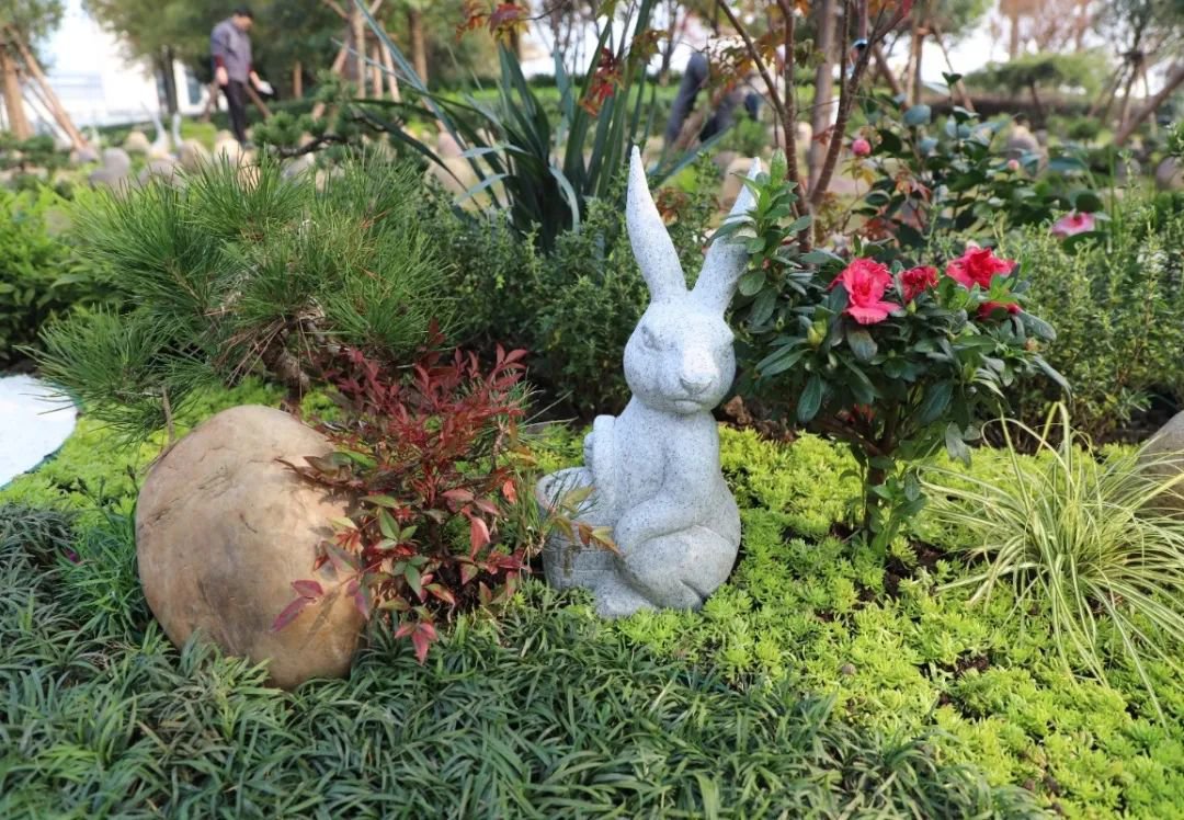 122cc太阳集成游戏(中国)有限公司官网