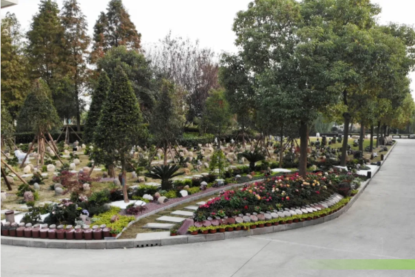 122cc太阳集成游戏(中国)有限公司官网