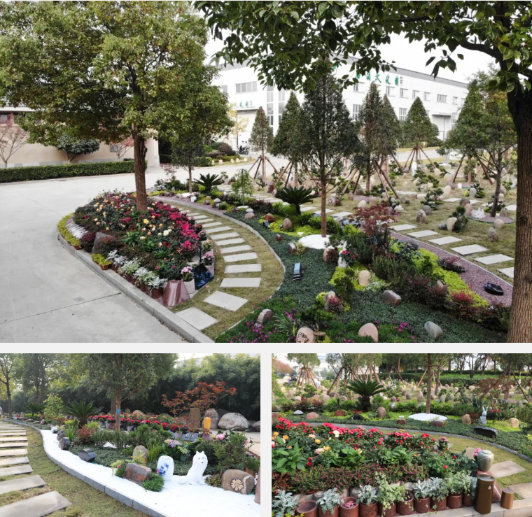 122cc太阳集成游戏(中国)有限公司官网