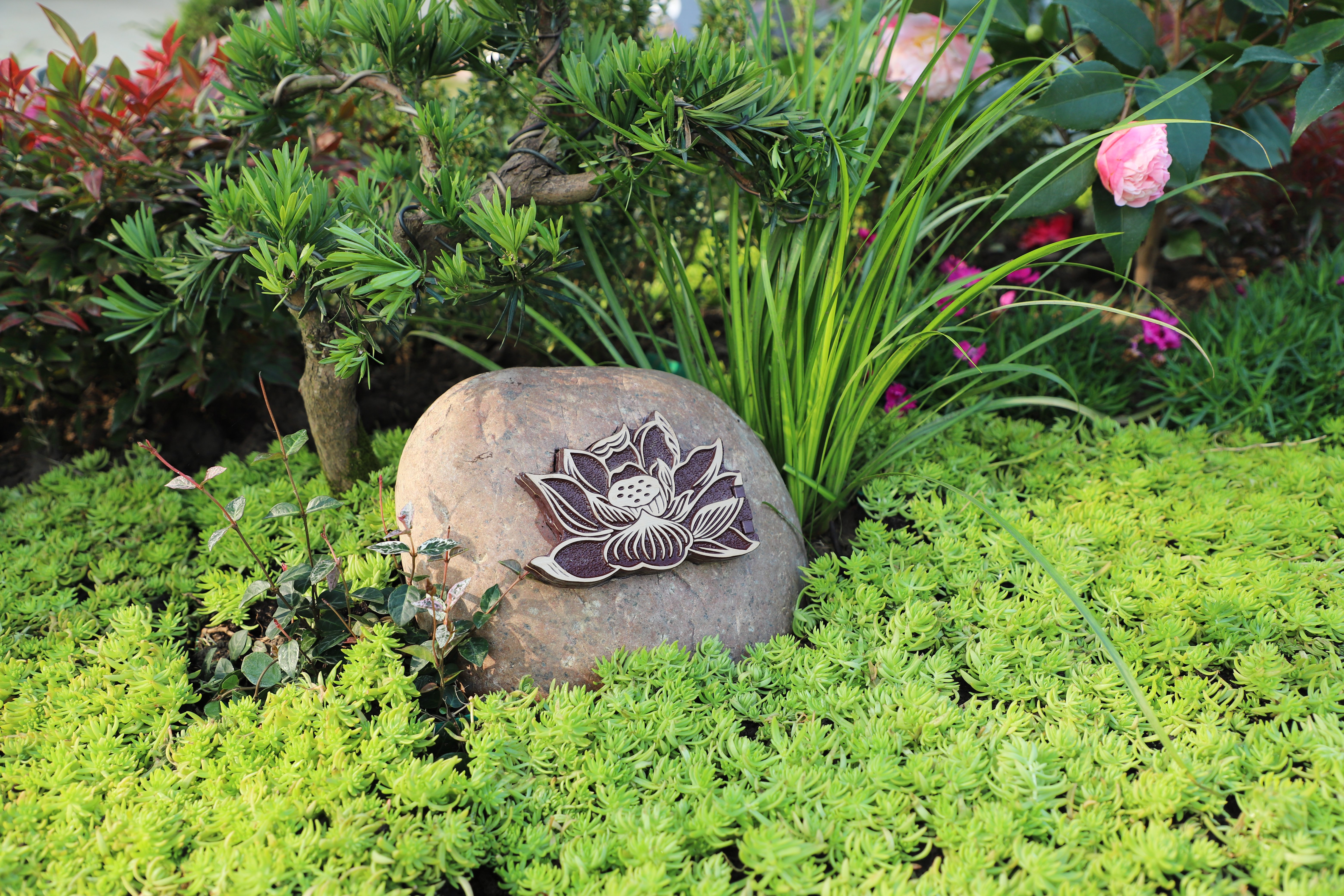 122cc太阳集成游戏(中国)有限公司官网