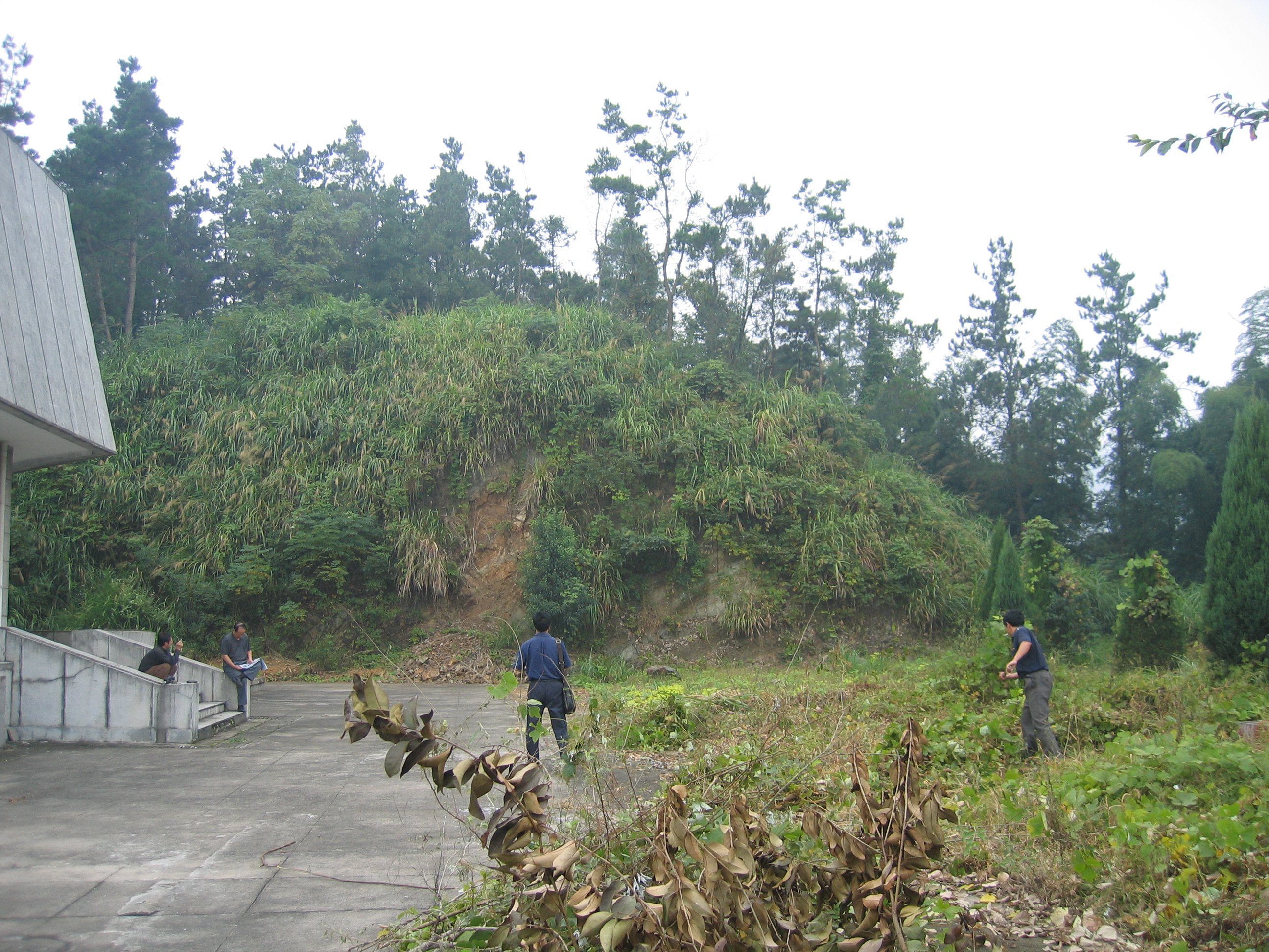 122cc太阳集成游戏(中国)有限公司官网