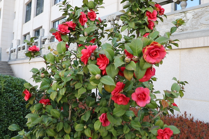 122cc太阳集成游戏(中国)有限公司官网