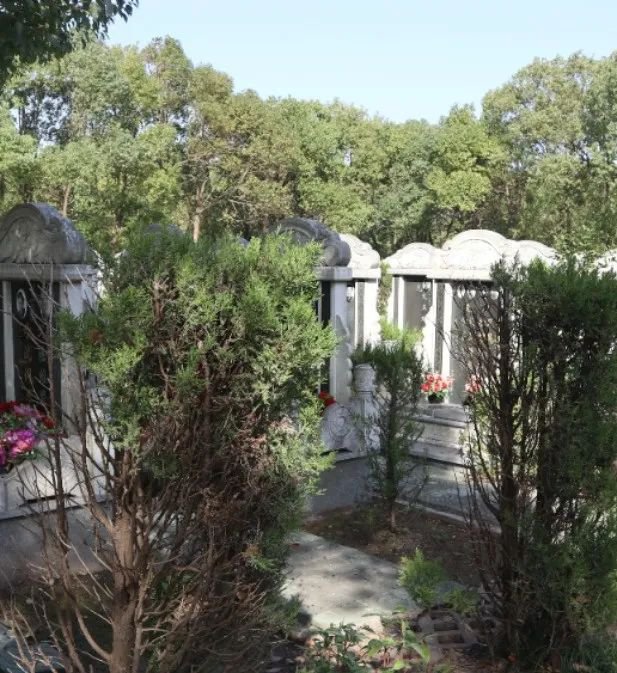 122cc太阳集成游戏(中国)有限公司官网