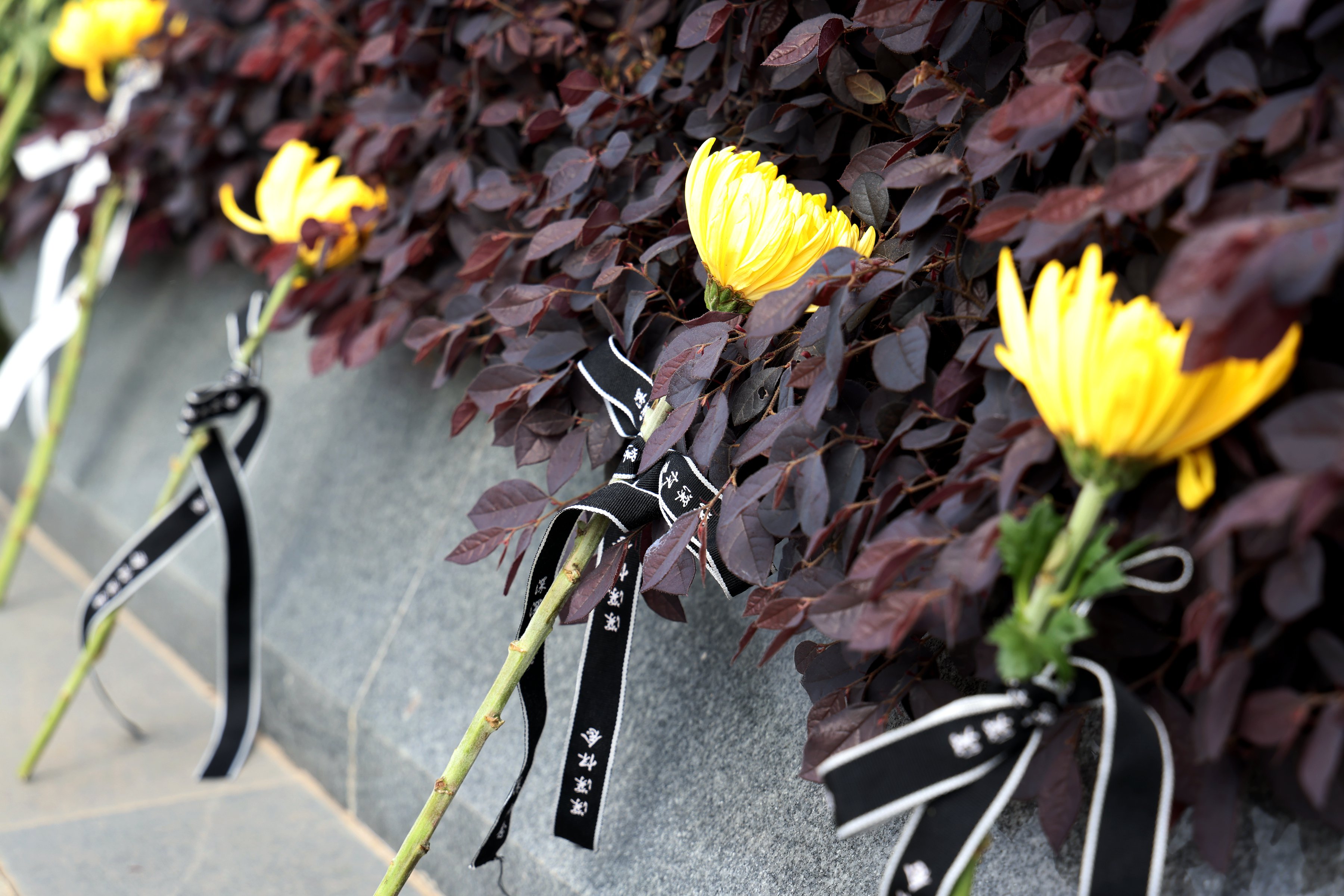 122cc太阳集成游戏(中国)有限公司官网