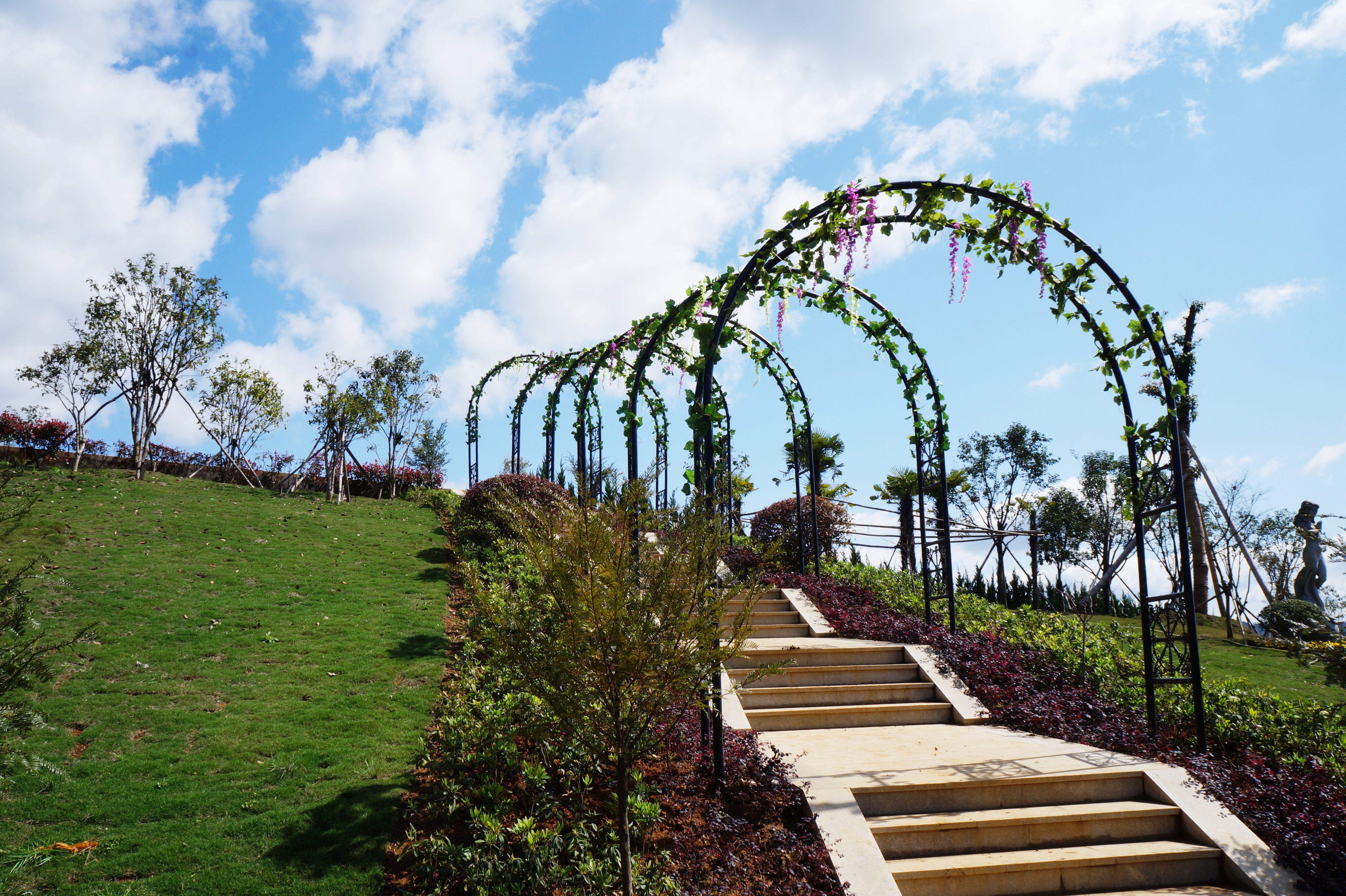 122cc太阳集成游戏(中国)有限公司官网