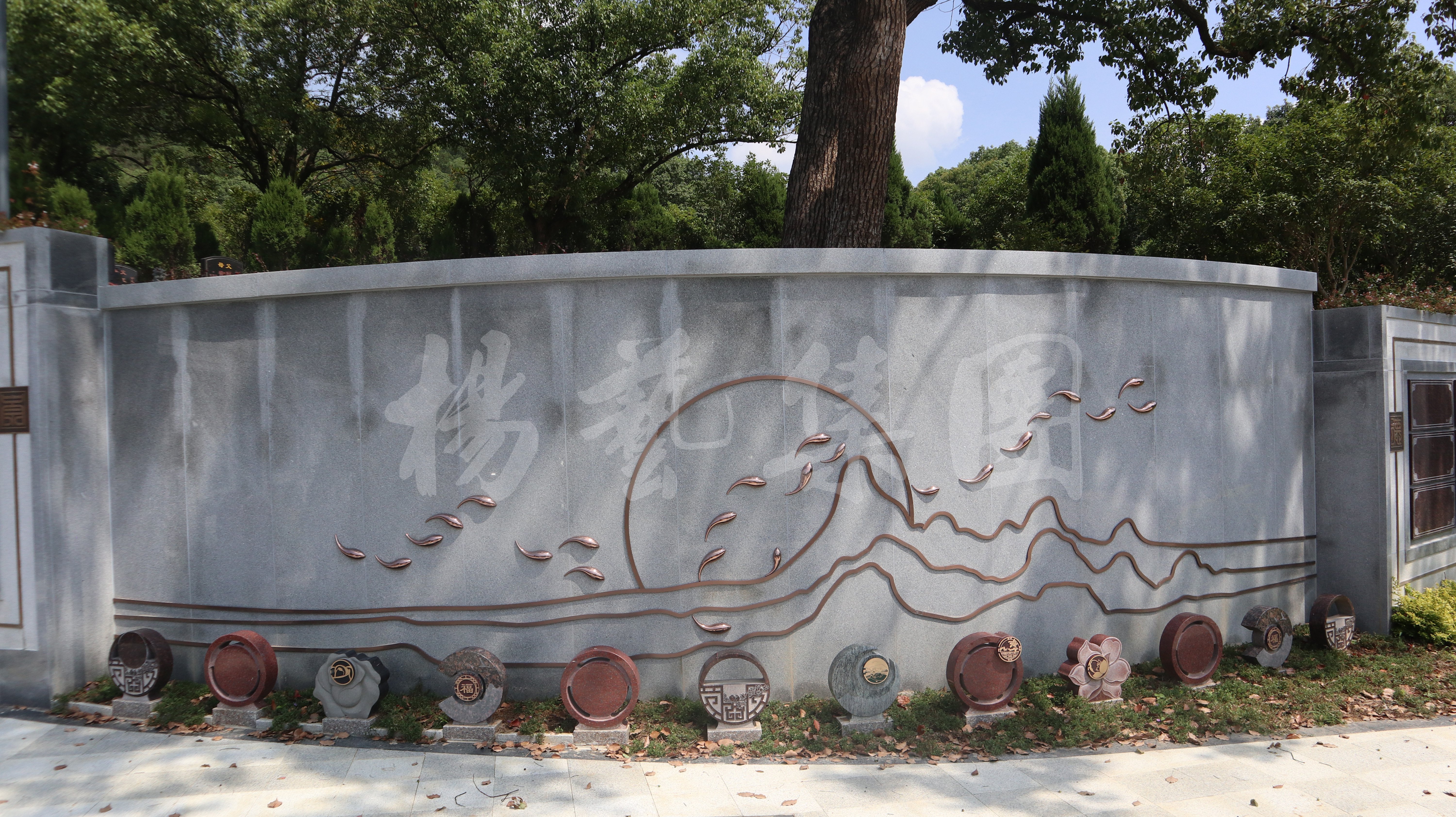 122cc太阳集成游戏(中国)有限公司官网