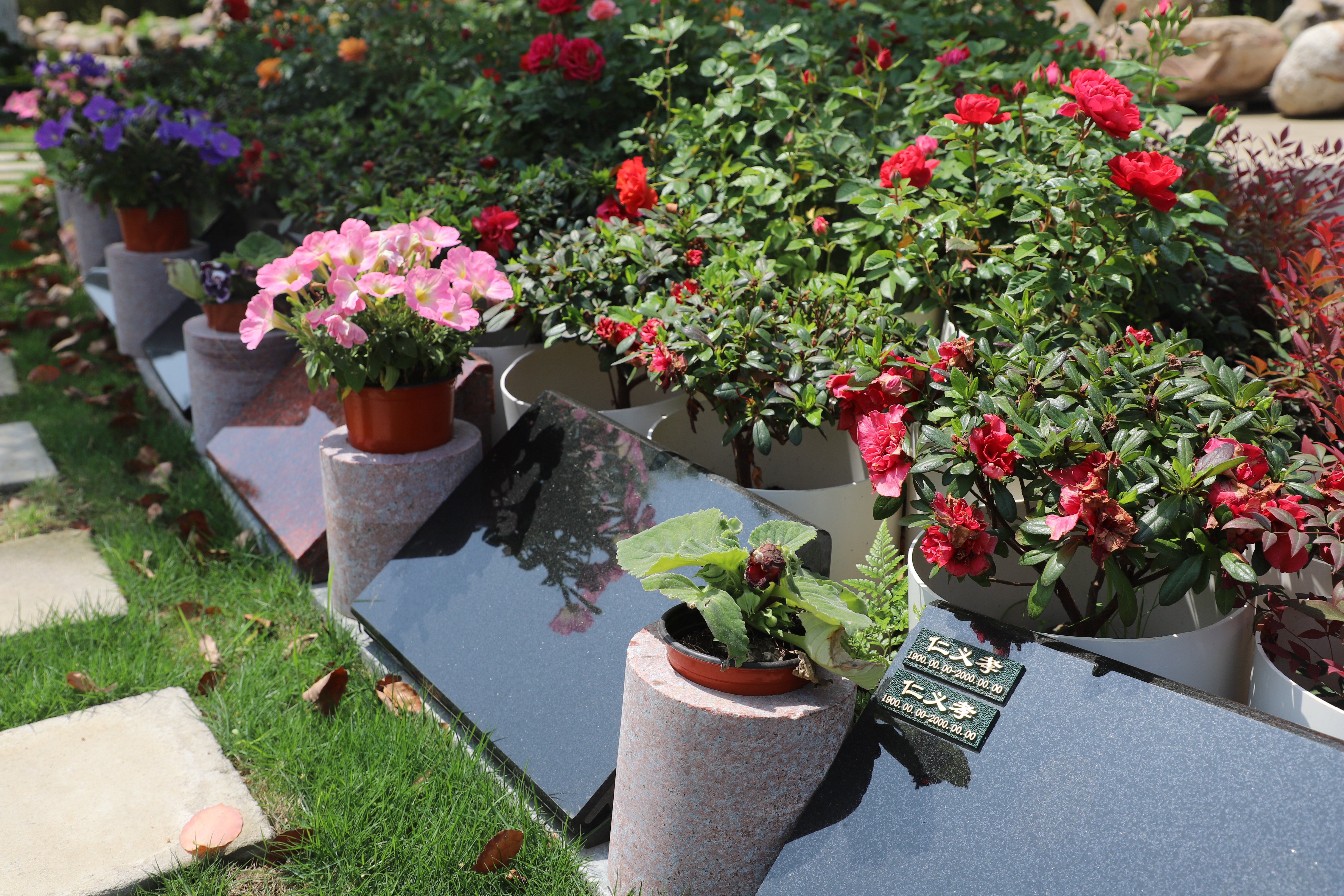 122cc太阳集成游戏(中国)有限公司官网