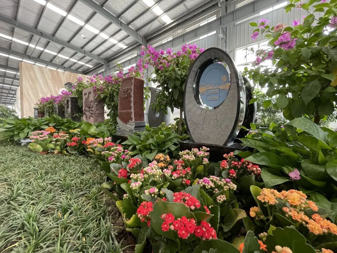 122cc太阳集成游戏(中国)有限公司官网