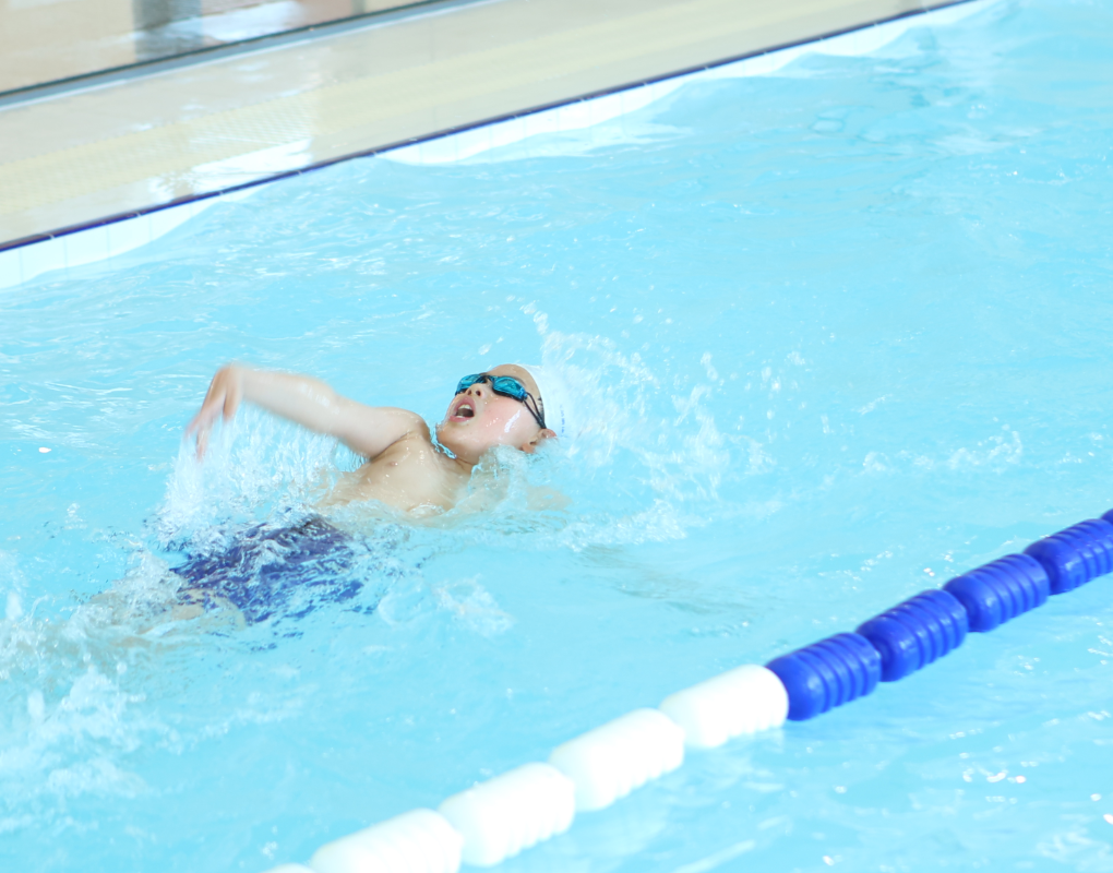 122cc太阳集成游戏(中国)有限公司官网