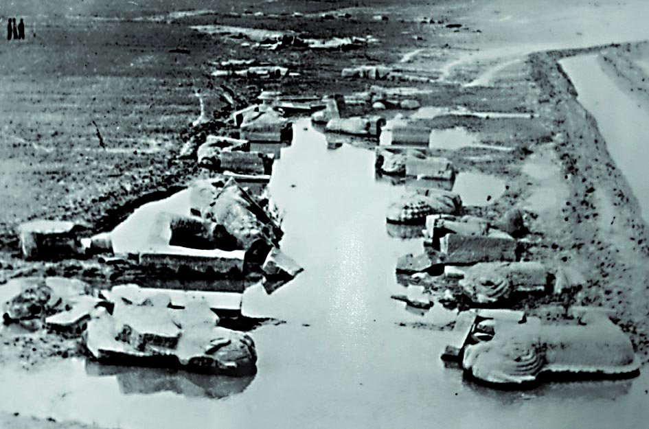 122cc太阳集成游戏(中国)有限公司官网