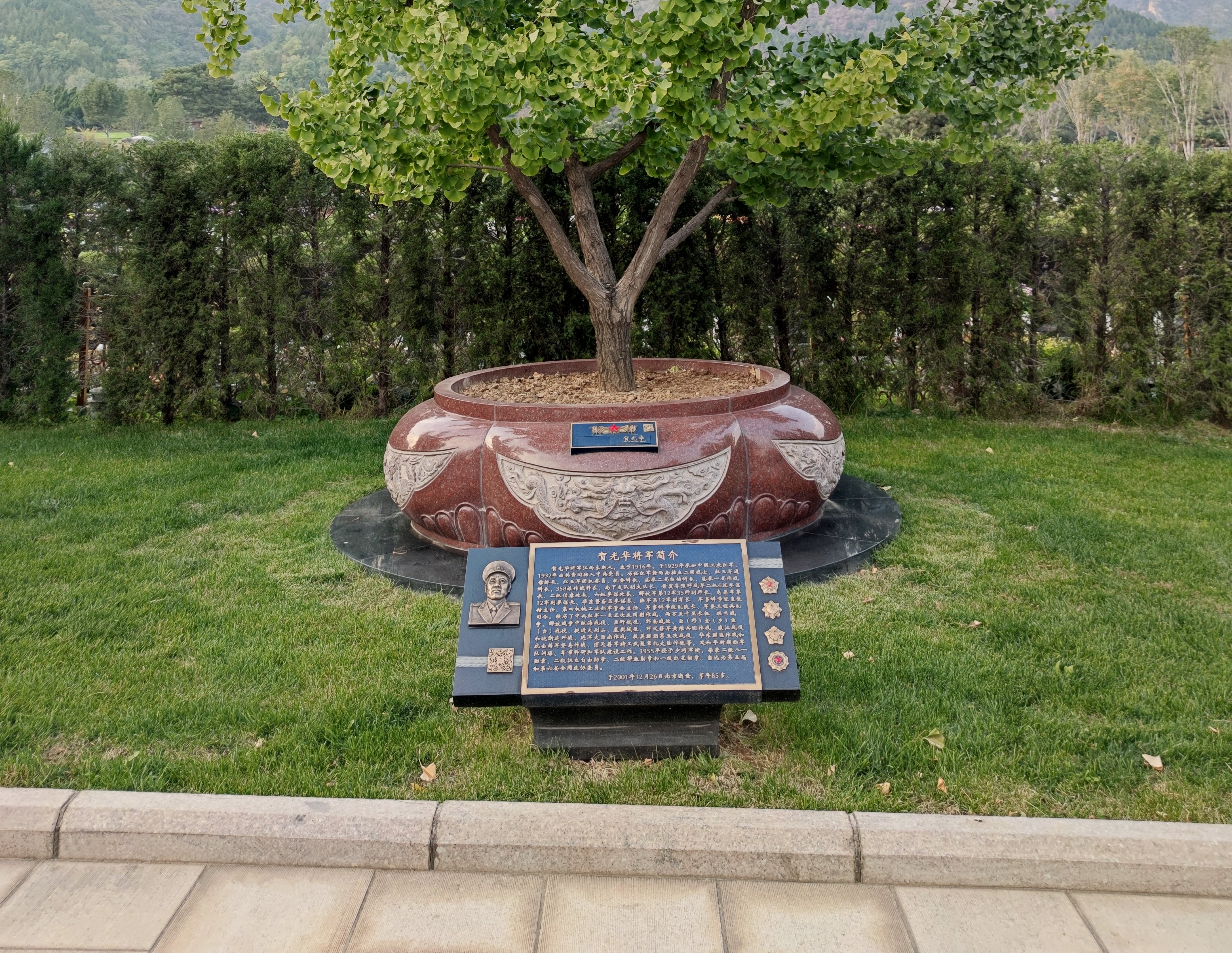 122cc太阳集成游戏(中国)有限公司官网