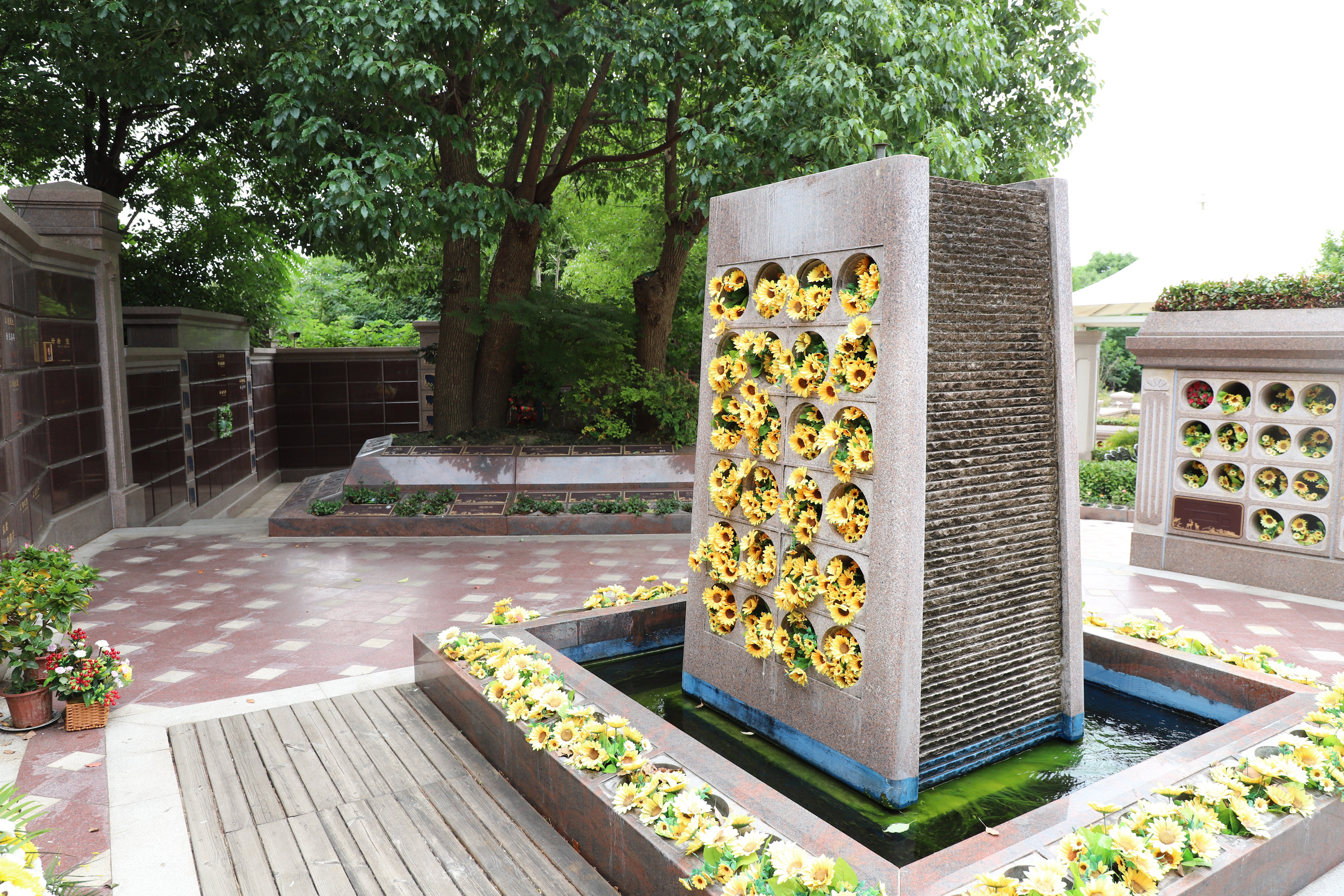 122cc太阳集成游戏(中国)有限公司官网